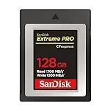 SDCFE-128G-GH4NN [128GB]