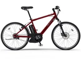 PAS Brace L PM26B + 専用充電器