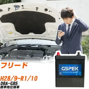 ホンダ フリード GB5 H28/9-R1/10 標準地仕様車 バッテリー 車用 GSPEK Wシリーズ W-N65/PL 【H04006】