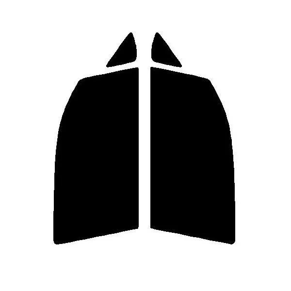 オーロラ ゴースト 運転席、助手席用 ステラ LA150F・LA160F カット済みフィルム