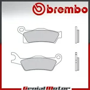 フロント Brembo SX ブレーキパッド Bombardier-can Am OUTLANDER MAX RIGHT/REAR 800 13 15 Front Brembo SX Brake Pads Bombardier-can Am OUTLANDER MAX RIGHT/REAR 800 13 15 【並行輸入品】