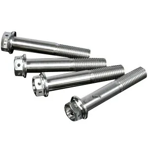 【メーカー在庫あり】 ジータ ZETA チタンキャリパーマウントボルト 汎用 ラジアルマウント M10 P1.25 70mm 4本入り ZT33-1704 HD店