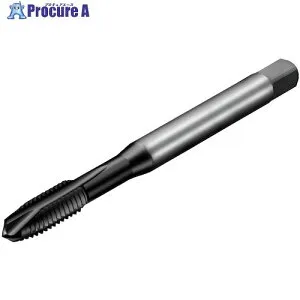 SANDVIK コロタップ200 ポイントタップ(780) P1PM T200-PM100AE-3/8 P1PM (780) 1本 ■▼351-7385 【送料都度見積】 ●KO521