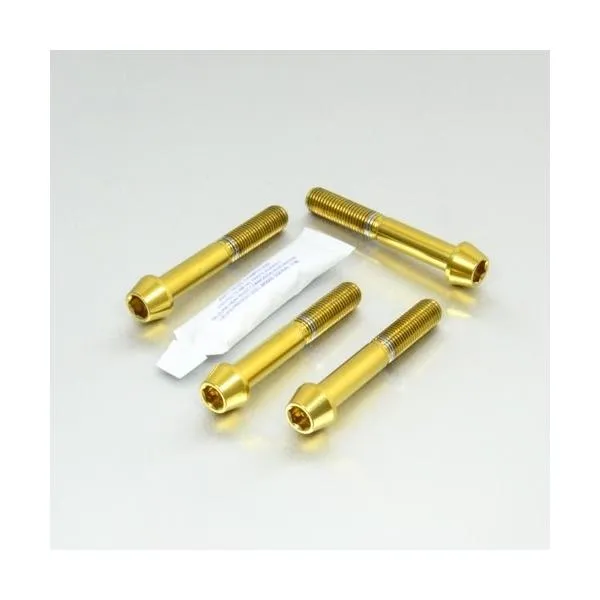 PRO BOLT プロボルト Stainless Steel Front Brake Mounting Bolt Kit カラー：ゴールド DUCATI ドゥカティ KTM KAWASAKI カワサキ TRIUMPH トライアンフ