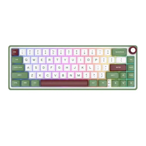 Gasket Wired Hot-Swappable 66 Key 65％RGB RK R65によるブラジルのポルトガルゲーム用バックライトメカニカルキーボード(GreenSand)