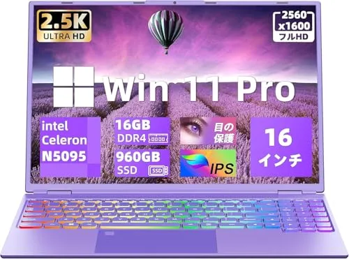 Office 2019搭載 ノートパソコン16インチ大画面パソコンノート/インテル Celeron N5095 2.00GHz～2.90GHz/2.5K液晶IPS 解像度(2560*1600)/メモリDDR4 16GB/高速SSD 960GB/指紋認証付き
