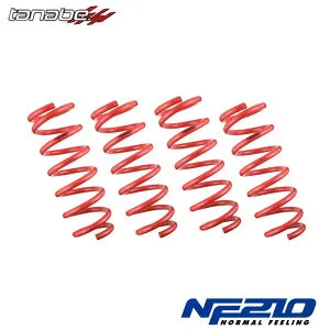 N-ONE ダウンサス JG1 H24/11- サステックNF210 TANABE(タナベ) JG1PNK