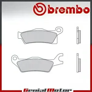 フロント Brembo SX ブレーキ パッド Bombardier-can Am RENEGADE LEFT/REAR 800 2014 - 2016 Front Brembo SX Brake Pads Bombardier-can Am RENEGADE LEFT/REAR 800 2014 - 2016 【並行輸入品】