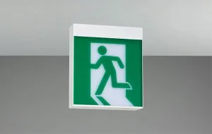 C級天壁直付片面誘導灯 FBK-10701-LS17 4974550622271 東芝ライテック