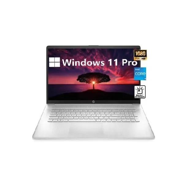 HP [Windows 11 Pro] Business Laptop, 11th Gen Intel Core i5-1135G7, 17.3" FHD IPS Display, 16GB RAM, 512GB SSD, HDMI, Full-Size Backlit Keybo_並行輸入