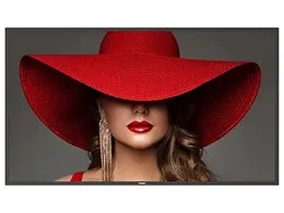 50BDL4650D/11 [49.5インチ]