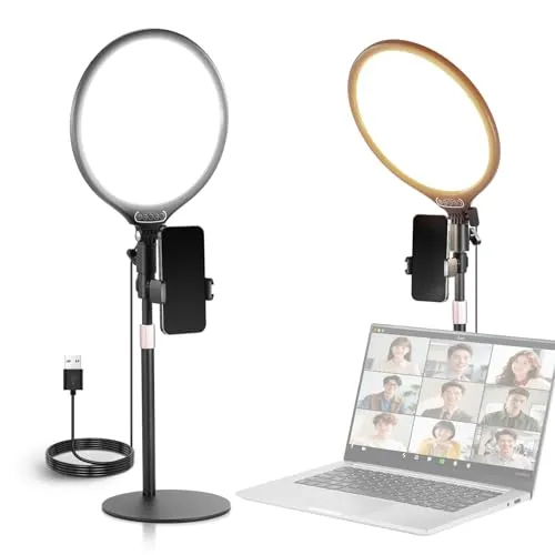 NEEWER BASICS 10.5インチ 卓上リングライト 2個セット 15W LEDビデオライト 撮影ライト スタンド/スマホホルダー/タイマー付き 調光可能 3000-6500K 880lux/0.5m フルスクリーン パネル照明 スマホ/ウェブカメ