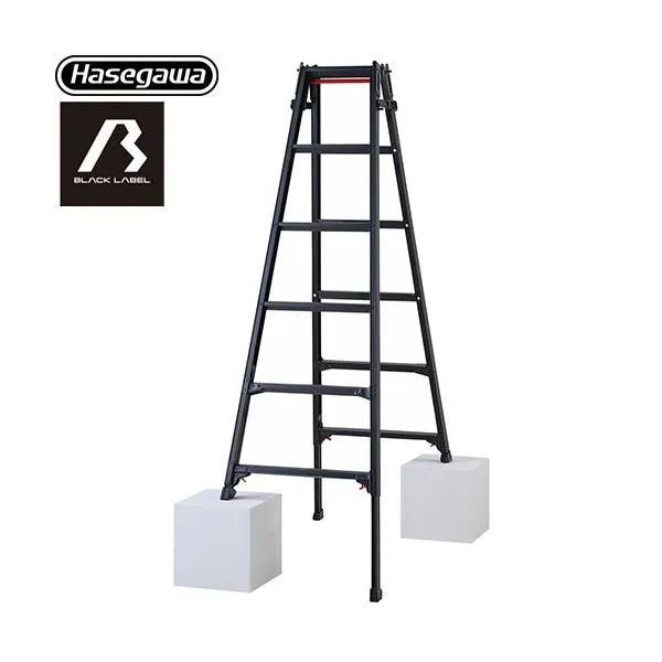 はしご兼用脚立 RYZB 6段 はしご・脚立 最大使用質量：100kg 長谷川工業 RYZB-18a ブラック 【直送 代引・土日祝配送・時間指定 不可】