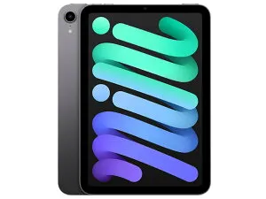 iPad mini MK7T3J/A スペースグレイ 8.3インチ 第6世代 Wi-Fi 256GB 2021年秋モデル 【訳あり：倉庫移動中に外箱傷あり】