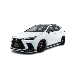 【AIMGAIN】 SPORT LEXUS レクサス NX450h NX350h NX350 F-SPORT 20系 NX フルキット 3点 2021.11- エイムゲイン エアロセット エアロキット エアロ