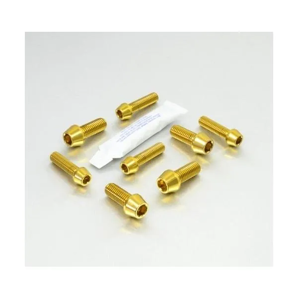 PRO BOLT プロボルト Stainless Steel Front Brake Mounting Bolt Kit カラー：ゴールド VTR1000 SP1 SP2 HONDA ホンダ キャリパーボルト・マウントボルト