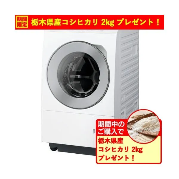 【無料長期保証】【期間限定ギフトプレゼント】パナソニック ドラム洗濯機 洗濯11.0kg 乾燥6.0kg 幅63.9cm スゴ落ち泡洗浄 NA-LX113EL-W ホワイト系