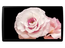 ストラーダ F1X PREMIUM10 CN-F1X10BGD