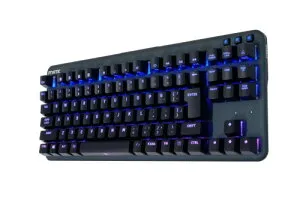 FnaticGear miniSTREAK SILENT JP RGBバックライト CHERRY MX RGB Silent Redキースイッチ搭載 薄型軽量ボディ採用 91キー 日本語配列 有線接続 ゲーミングキーボード KB0004-007 KB548