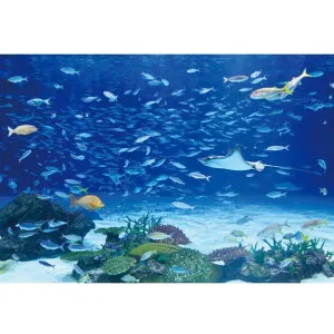 サンゲツ デジタルプリント壁紙 リザーブ（HIGH GRAFICA）風景写真 サンシャイン アクアリウム#2 Sサイズ（2巾） W1800mm×H1250mm HZ-7038S 1セット