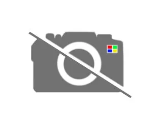 ラフェスタ用 テンシヨナーアッセンブリーベルトラフェスタハイウェイスター 11750-HA00B 日産純正部品