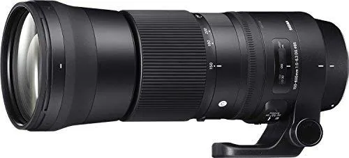 Sigma 150-600mm f/5.0-6.3 コンテンポラリー Canon EFカメラ用 150-600mm 中望遠レンズ 固定ズーム - インターナショナル バージョン (保証なし)