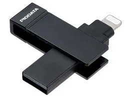 600-IPL256GX3N [256GB]