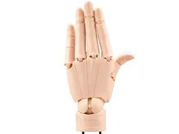 ARTIST SUPPORT ITEM ハンドモデル/L -PALE ORANGE-