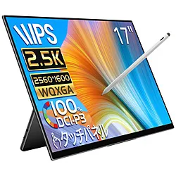 EHOMEWEI USB-C接続 モバイルモニター Rシリーズ(タッチパネル) RQG-170PW ［17型 /WQXGA(2560×1600） /ワイド］