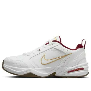 Nike ナイキ メンズ スニーカー 【Nike Air Monarch IV 'Year Of The Snake' IB4607-171】 サイズ US_5(23.0cm)
