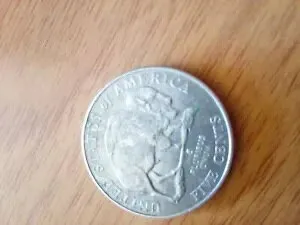 2005-D 5c SPEARED BISON ニッケル