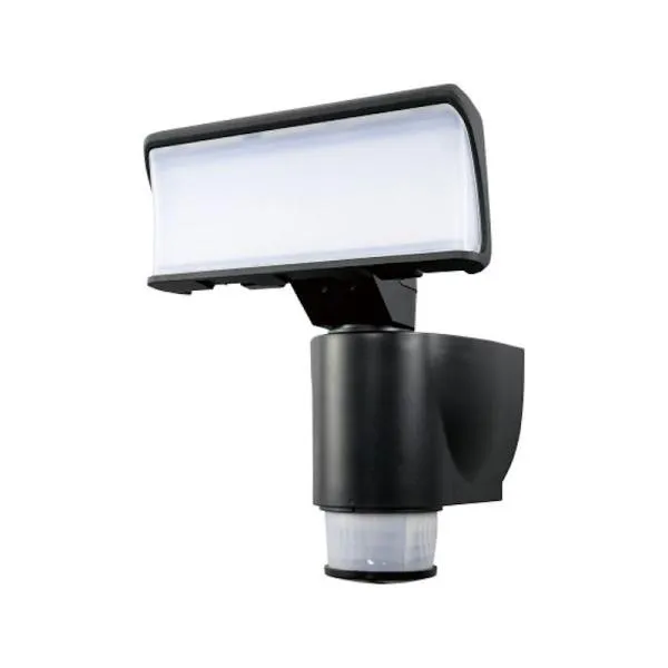 ＤＸアンテナ 自動追尾型ＬＥＤセンサーライト １０００ｌｍ ＤＳＬＤ１０ＴＣ１