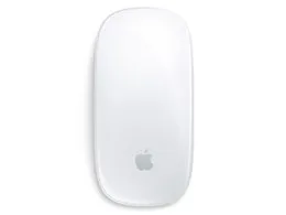 Magic Mouse MXK