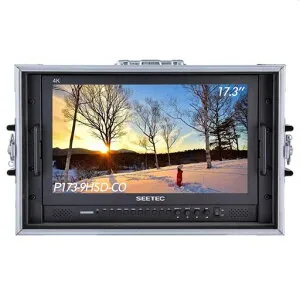 SEETECP173-9HSD-CO17.3インチ1920x1080デスクトップモニター(ブロードキャストLCDモニタリング用)、3G-SDI4KHDMIAVYPbPrフルHD