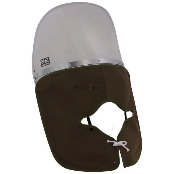 旭風防 アサヒ風防 No99 ミニウインドシールド W650専用 W650 KAWASAKI カワサキ スクリーン 外装