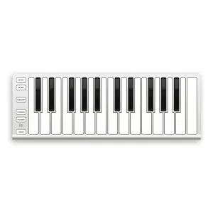 ESIAudiotechnik/Xkey 25