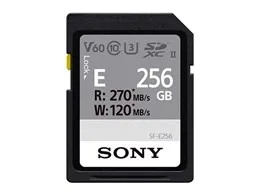 SF-E256 [256GB]