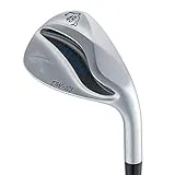 DW-123 ウェッジ [NS PRO MODUS3 TOUR 120 フレックス：S ロフト：48]
