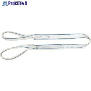 シライ ベルトスリング エコスリング エコマーク認証商品 EL3E(JIS3等級) 両端アイ形 100mm幅×長さ8.0m EL3E-100X8.0 1本 ■▼729-7594 【送料都度見積】