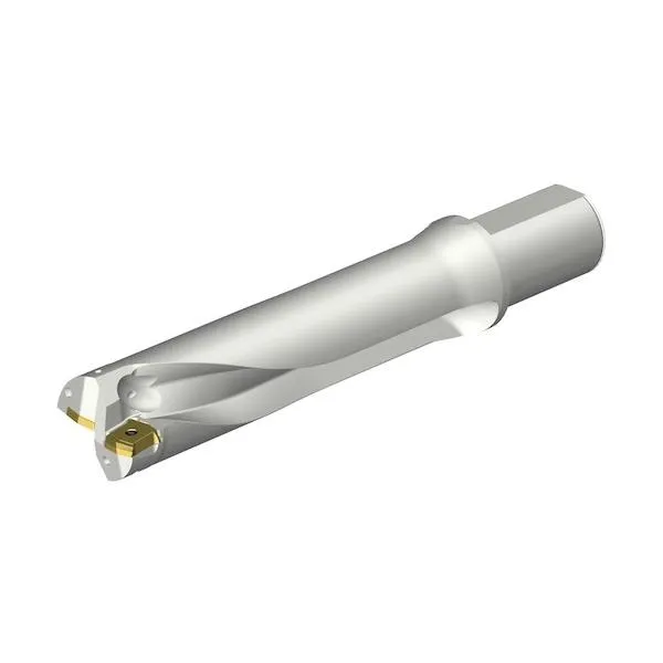 サンドビック コロドリルDS20刃先交換式ドリル(465) DS20-D5600L50-04 1点