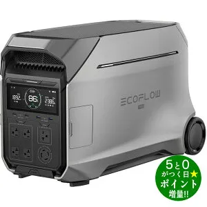 ◆最大3000円CP＋P3倍！！4/25◆エコフロー ポータブル電源 アウトドア キャンプ DELTA PRO 3 EFDELTAPRO3-JP EcoFlow【転送不可】