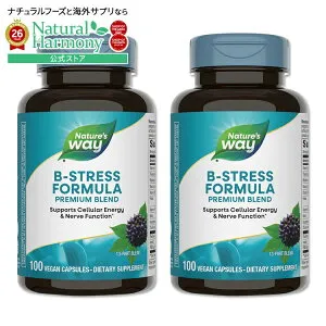 [2個セット] Nature's Way B-ストレスフォーミュラ エゾウコギエキス配合 100粒 ビーガンカプセル ネイチャーズウェイ B-Stress Formula 100Vegan Capsules 2bottles set【お取り寄せ商品】【合わせて買いたい