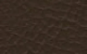 スキンシール Dell 16 (DC16250 / DC16255) 【 バラエティシリーズ各種 】 日本製 自社製造直販