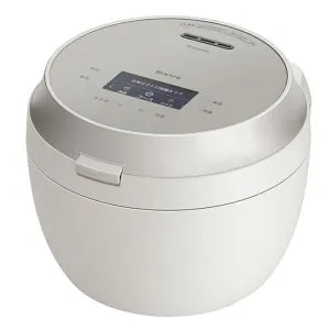 Panasonic(パナソニック) ビストロ SR-X910D-H ライトグレージュ