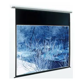 ES-200W [200インチ ホワイト]