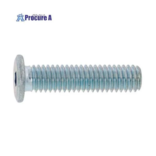 SUNCO 三価ホワイト 極薄・NSローヘッド 10×55 (70本入) ■▼243-5031 A0-00-L300-0100-0550-03 1箱