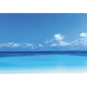 サンゲツ デジタルプリント壁紙 リザーブ（HIGH GRAFICA）風景写真 波照間島 ニシ浜 #1 Lサイズ（4巾） W3600mm×H2500mm HZ-7009L 1セット