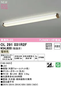 オーデリック OL291031R2F LEDキッチンベースライト FLR40W×2灯相当 R15高演色 クラス2 電球色 非調光 照明器具 壁面・天井面・傾斜面取付兼用 シーリング ブラケット