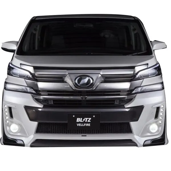 ブリッツ ヴェルファイア 30系 カーボンガーニッシュ ウェットカーボン製 未塗装 60220 BLITZ AERO SPEED R-CONCEPT 直