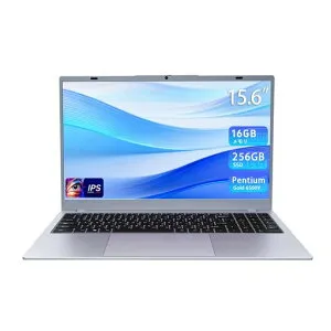 15.6インチノートパソコン日本語キーボードペンティアムゴールド6500Y搭載(ターボブースト3.4GHz)|16GBメモリ+256GBSSD|フルHD1080P|カメラスイッチ|Type-C|Wi-Fi5・Bluetooth
